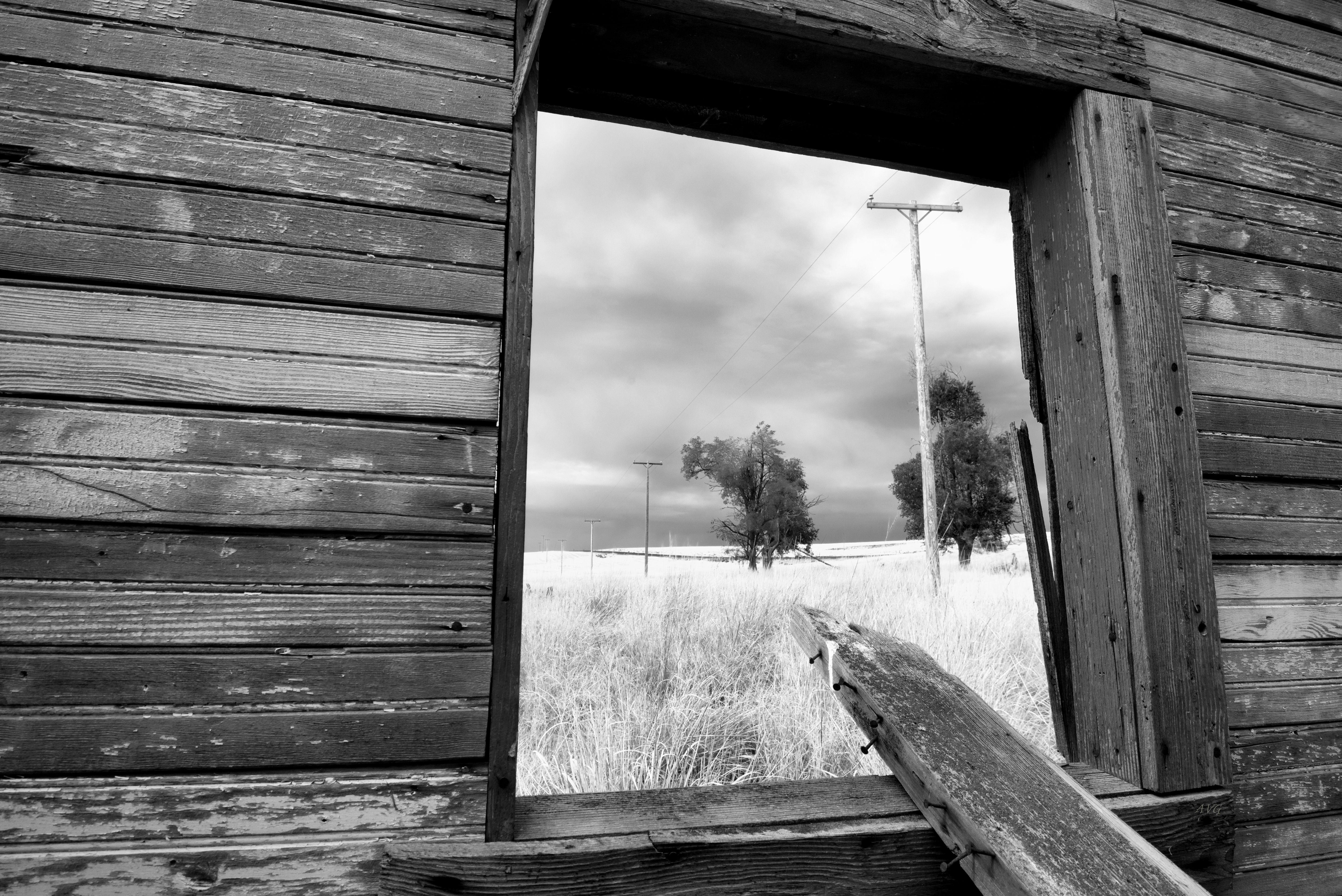 Window sales and supply